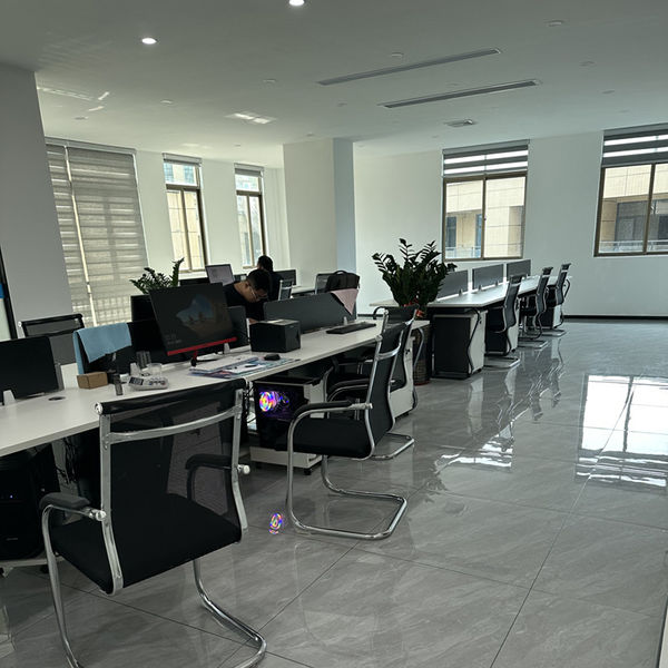 ประเทศจีน Shenzhen Dingsheng Plasticization Co., Ltd. รายละเอียด บริษัท