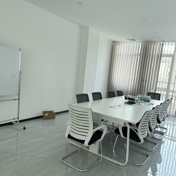 ประเทศจีน Shenzhen Dingsheng Plasticization Co., Ltd. รายละเอียด บริษัท